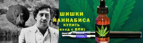 мдпв Вязники